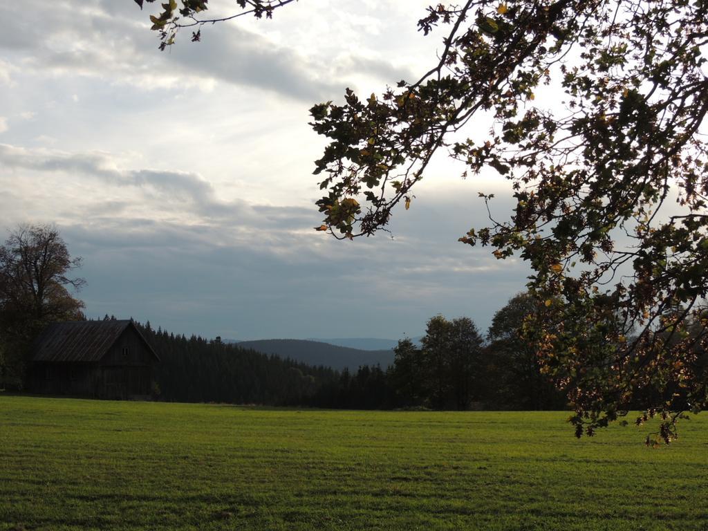 Pension Altvogtshof Eisenbach  Bagian luar foto