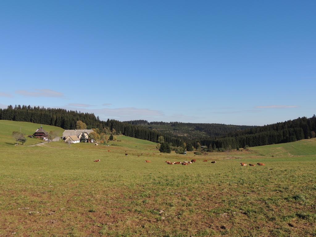 Pension Altvogtshof Eisenbach  Bagian luar foto