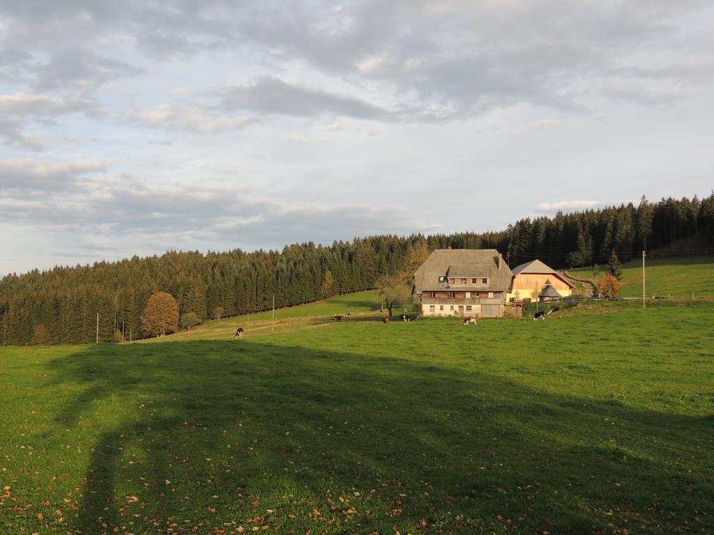 Pension Altvogtshof Eisenbach  Bagian luar foto
