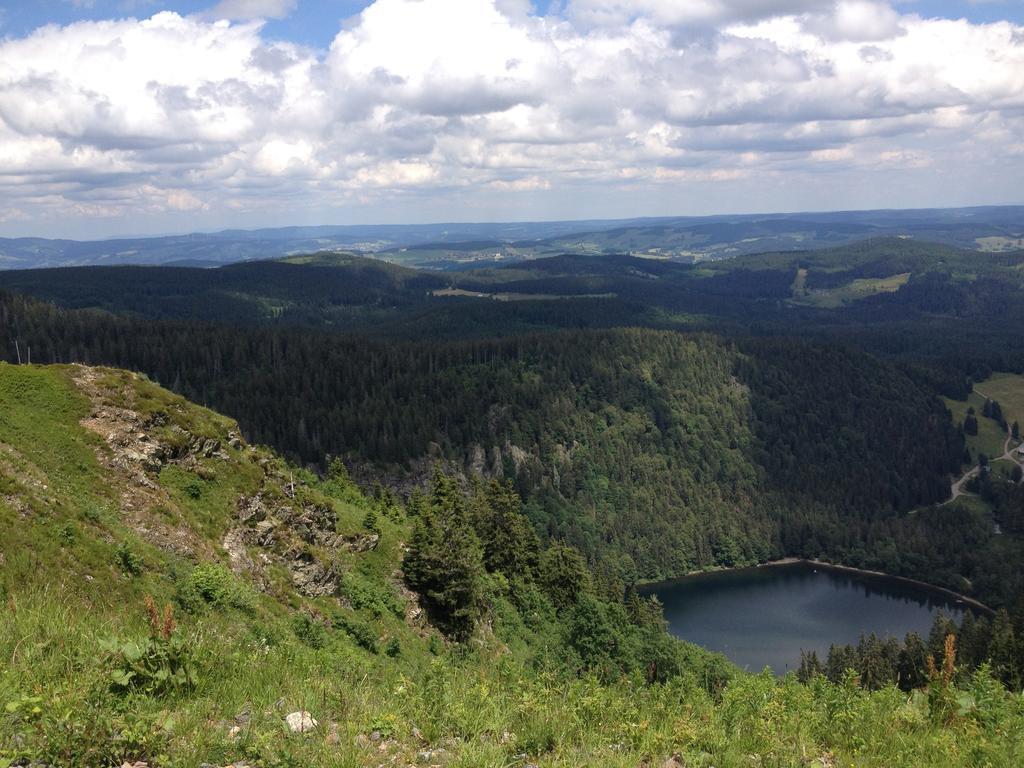 Pension Altvogtshof Eisenbach  Bagian luar foto