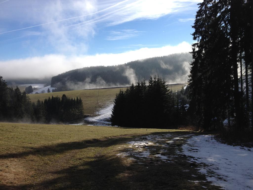 Pension Altvogtshof Eisenbach  Bagian luar foto