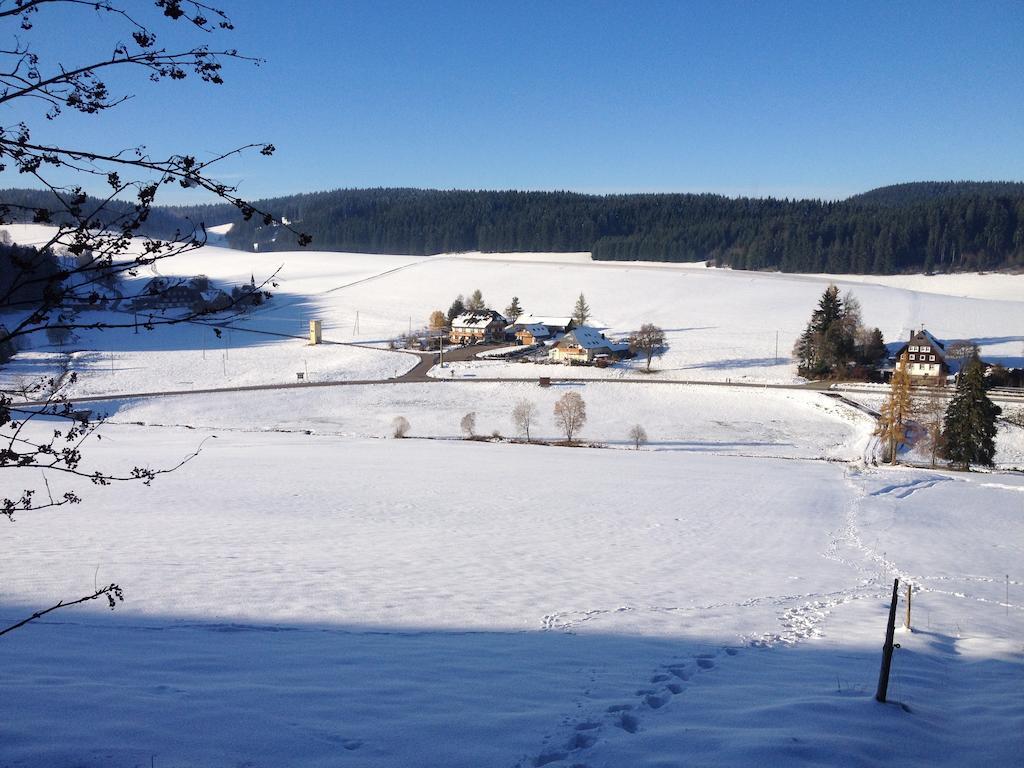 Pension Altvogtshof Eisenbach  Bagian luar foto
